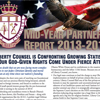 Mid-Year Partners' Report 2013-2014